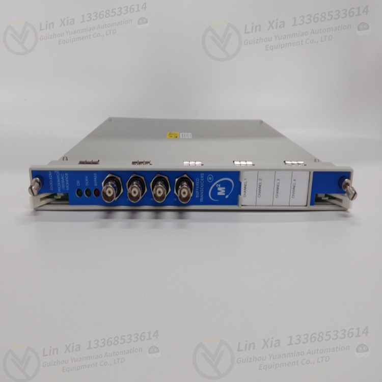 Bently 1900/65A Dual channel module - Image 4