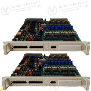 ABB DLM02 37421-4-0338434-604 Digital Output Module