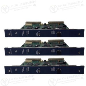 GE DS215UDSAG1AZZ01A Analog Output Module