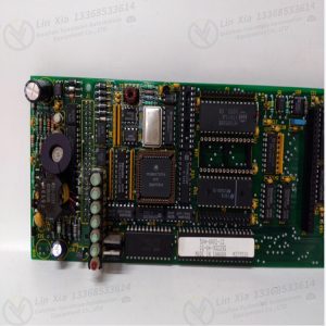 GE DS215SLCCG1AZZ01B Analog Output Module