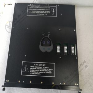TRICONEX  T9110 Digital quantity controller